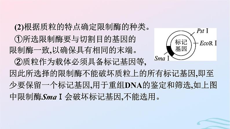 2024春高中生物第3章基因工程微专题三基因工程及其应用课件（人教版选择性必修3）06