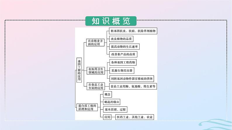 2024春高中生物第3章基因工程第3节基因工程的应用第4节蛋白质工程的原理和应用课件（人教版选择性必修3）03