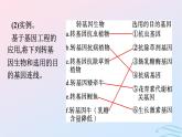 2024春高中生物第3章基因工程第3节基因工程的应用第4节蛋白质工程的原理和应用课件（人教版选择性必修3）