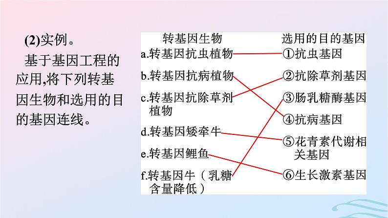 2024春高中生物第3章基因工程第3节基因工程的应用第4节蛋白质工程的原理和应用课件（人教版选择性必修3）05