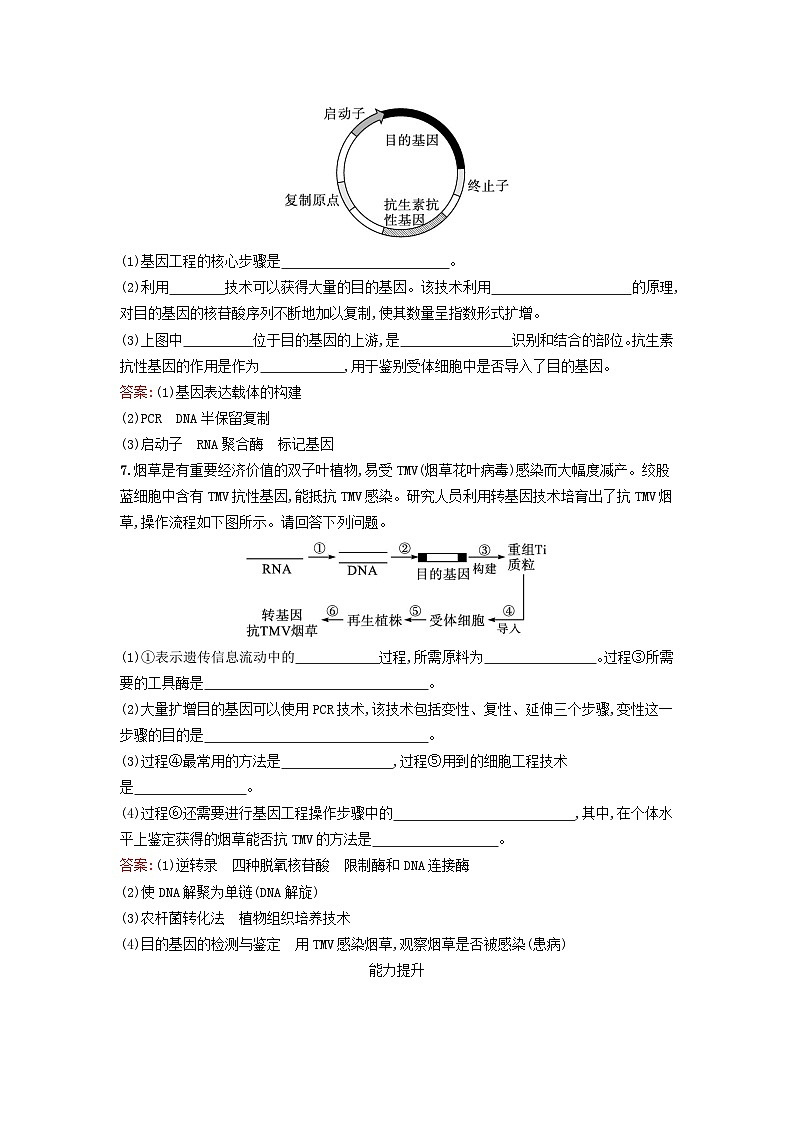 2024春高中生物第3章基因工程第2节基因工程的基本操作程序课时训练（人教版选择性必修3）03