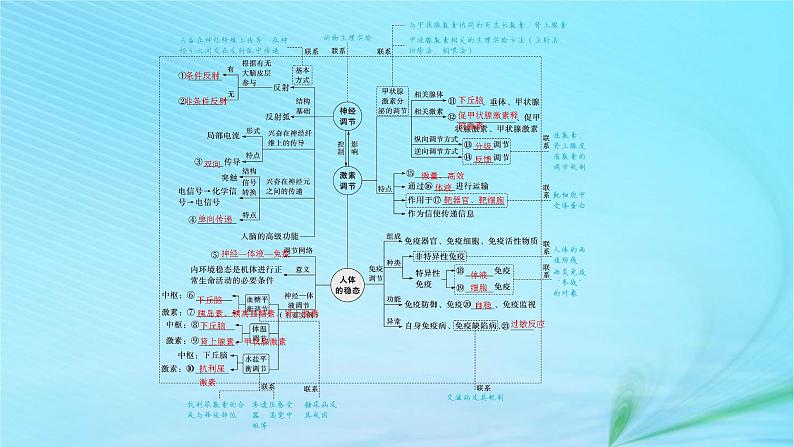 新高考新教材2024届高考生物二轮总复习专题七个体稳态与调节第1讲动物和人体生命活动的调节课件第4页