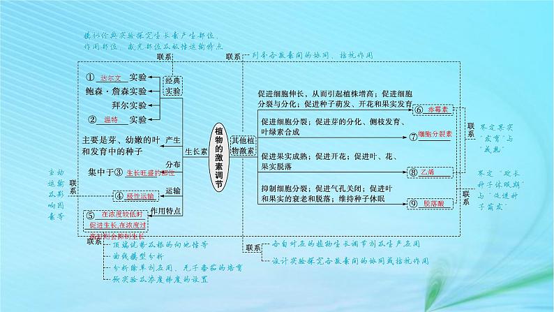 新高考新教材2024届高考生物二轮总复习专题七个体稳态与调节第2讲植物激素调节课件04