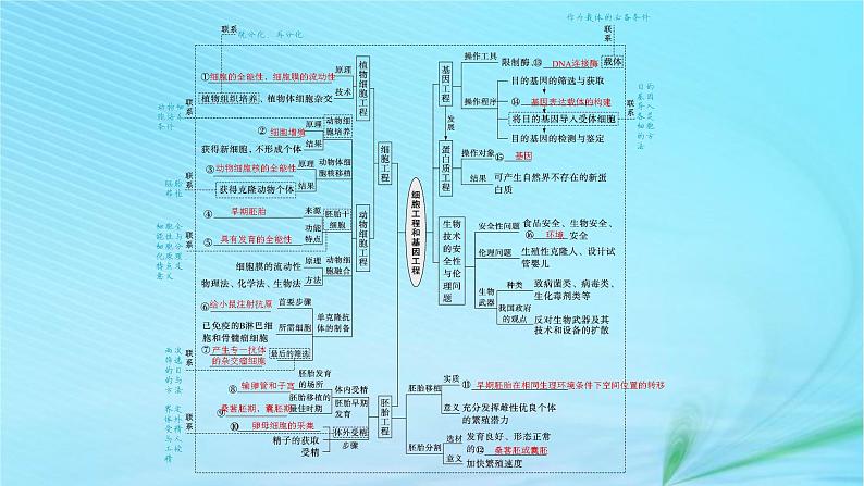 新高考新教材2024届高考生物二轮总复习专题十细胞工程和基因工程课件04