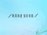 新高考新教材2024届高考生物二轮总复习专题一细胞的分子结构基础及物质运输第2讲细胞的结构基础与物质运输课件