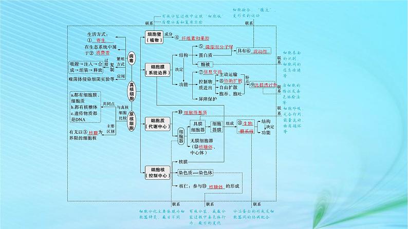 新高考新教材2024届高考生物二轮总复习专题一细胞的分子结构基础及物质运输第2讲细胞的结构基础与物质运输课件04