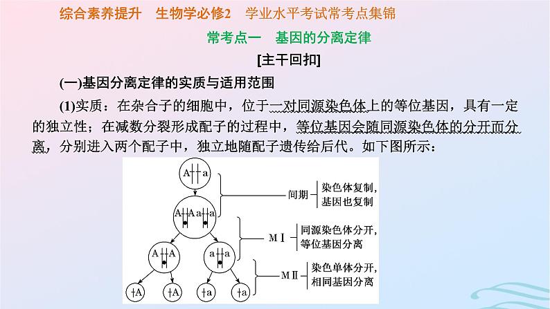 2024春新教材高中生物学业水平考试常考点集锦课件（人教版必修2）03