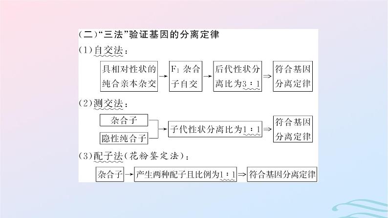 2024春新教材高中生物学业水平考试常考点集锦课件（人教版必修2）05