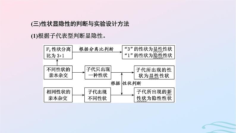 2024春新教材高中生物学业水平考试常考点集锦课件（人教版必修2）06