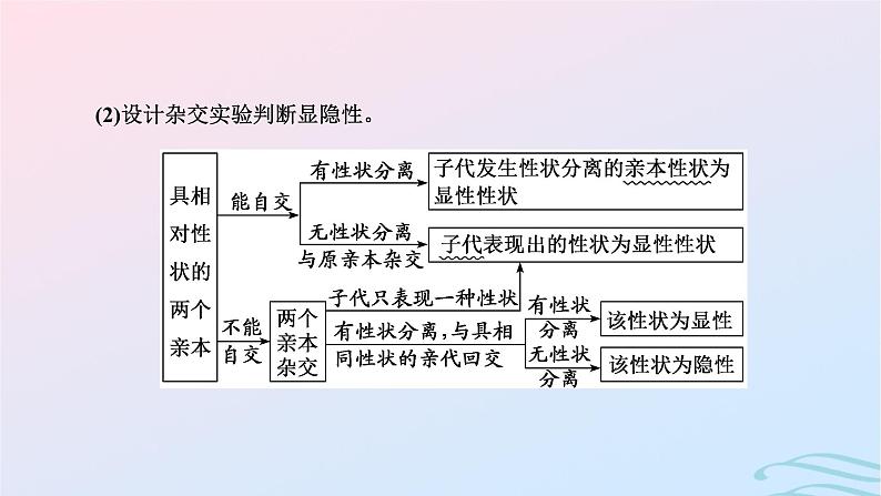 2024春新教材高中生物学业水平考试常考点集锦课件（人教版必修2）07