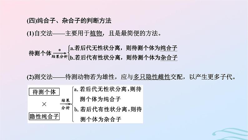 2024春新教材高中生物学业水平考试常考点集锦课件（人教版必修2）08