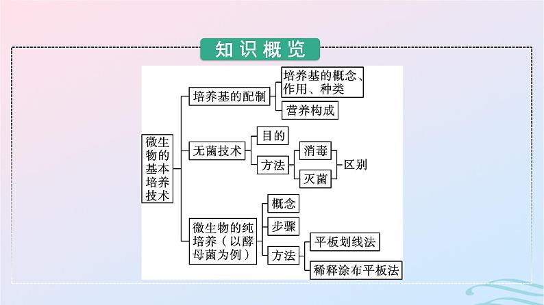 2024春高中生物第1章发酵工程第2节第1课时微生物的培养技术及应用课件（人教版选择性必修3）第3页