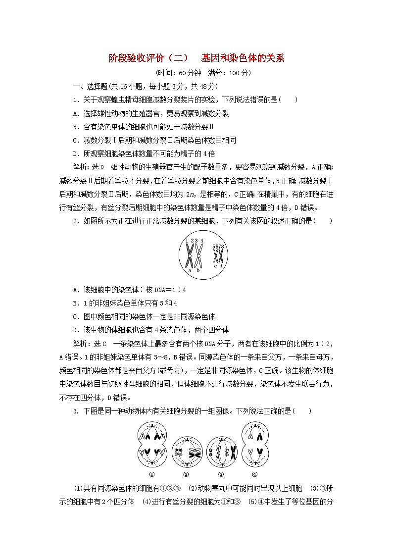 2024春新教材高中生物阶段验收评价二基因和染色体的关系试卷（人教版必修2）第1页