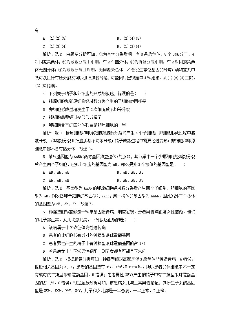 2024春新教材高中生物阶段验收评价二基因和染色体的关系试卷（人教版必修2）第2页