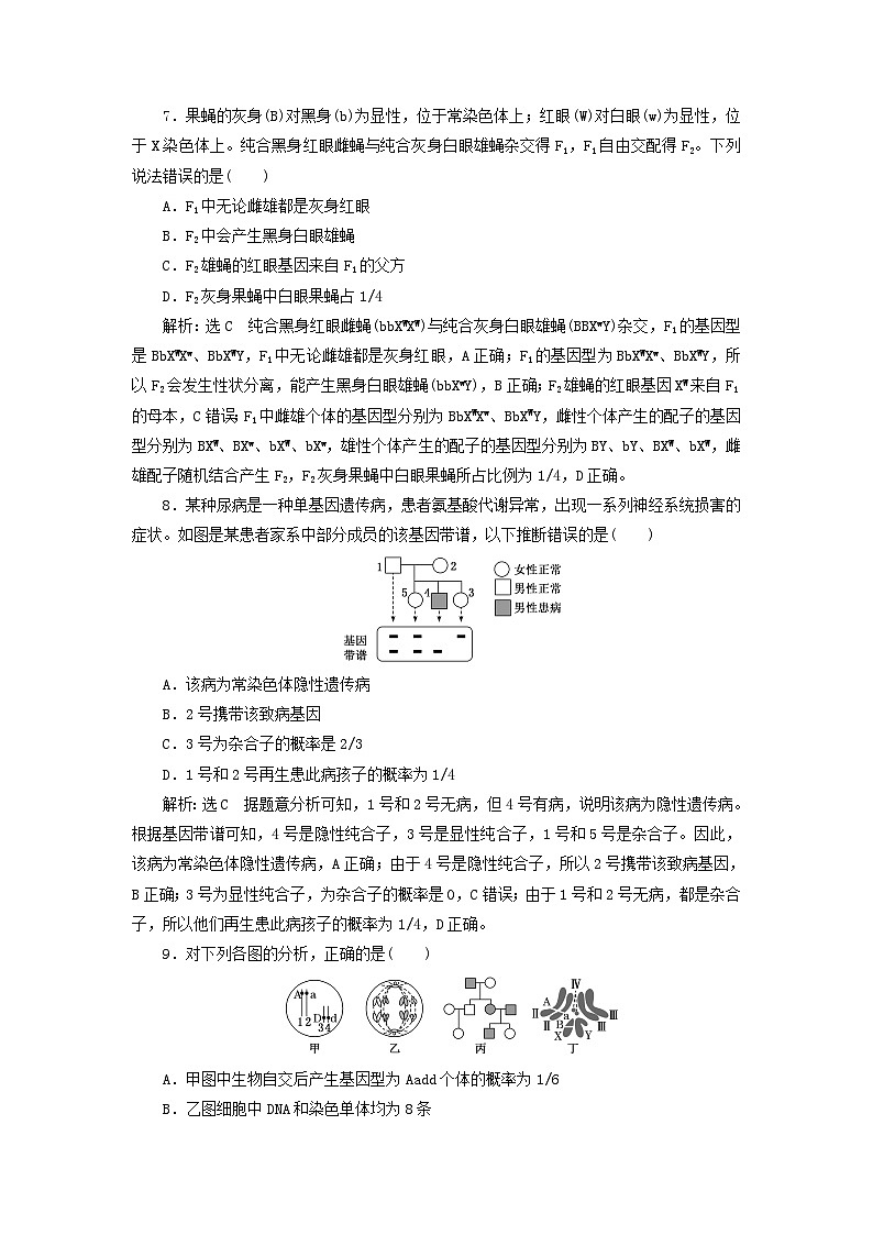 2024春新教材高中生物阶段验收评价二基因和染色体的关系试卷（人教版必修2）第3页