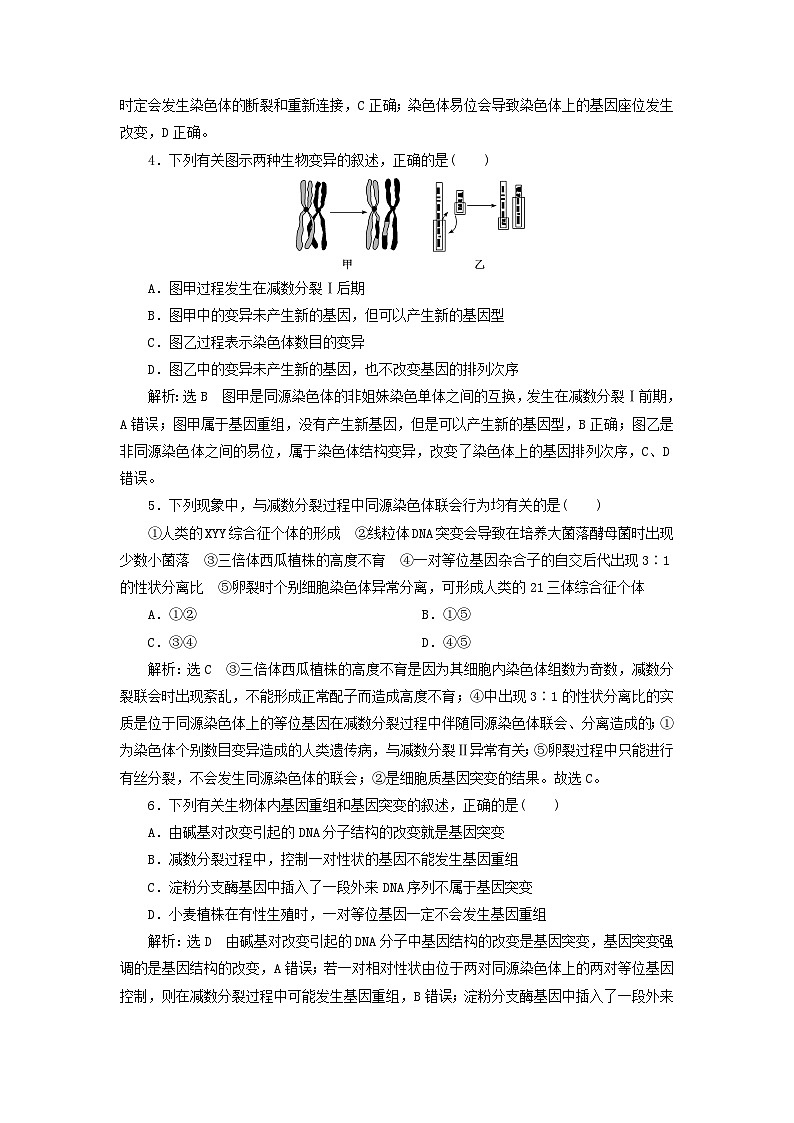 2024春新教材高中生物阶段验收评价四基因突变及其他变异生物的进化试卷（人教版必修2）02