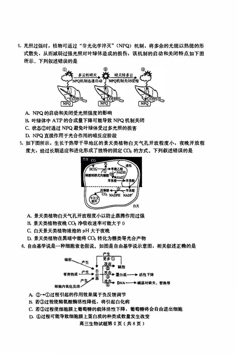 河北省保定2023_2024高三生物上学期期中考试试题pdf02