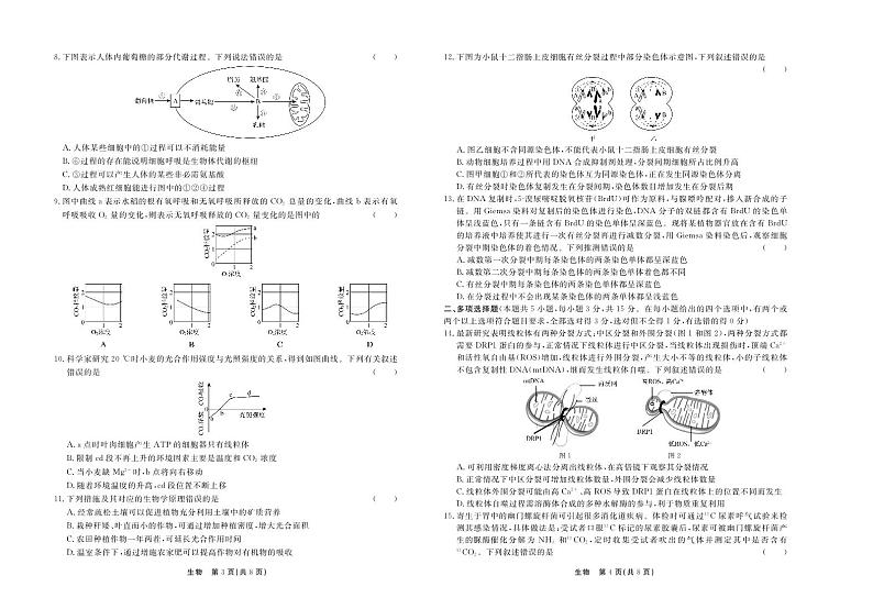 河北省邢台2023_2024高三生物上学期11月期中考试试题pdf02