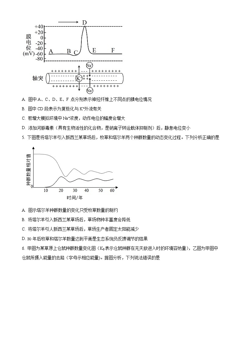 河南省南阳市第一中学2023-2024学年高二下学期开学考试生物试题（Word版附解析）02