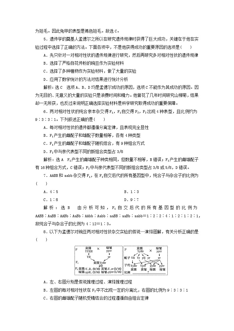 2024春新教材高中生物课时跟踪检测三自由组合定律的发现练习（人教版必修2）第2页