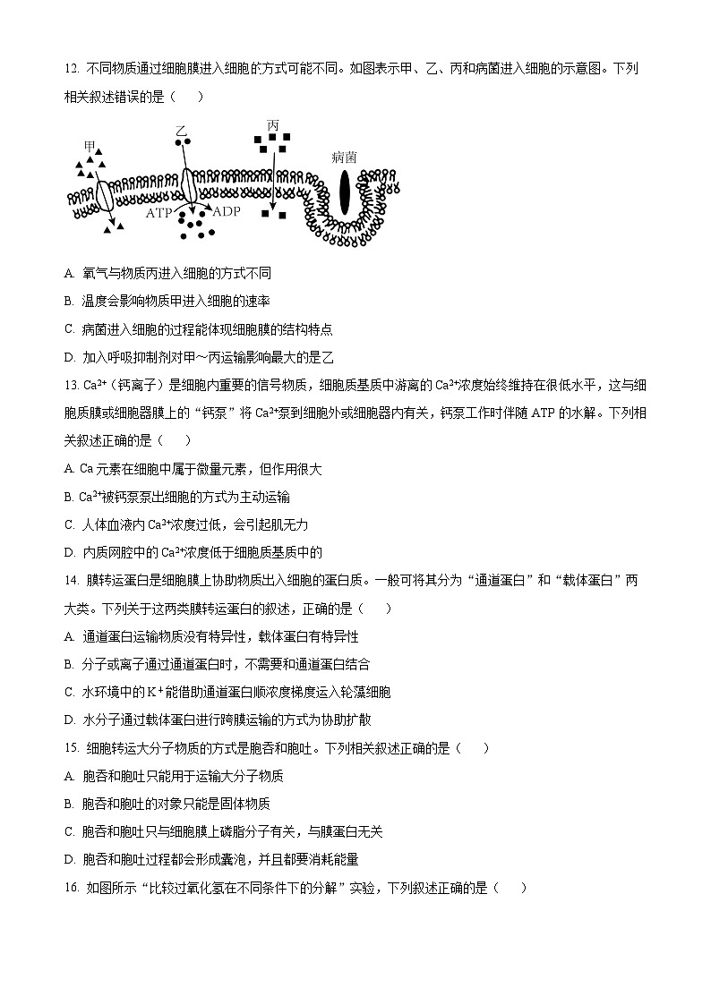 黑龙江省大庆市大庆中学2023-2024学年高一下学期开学考试生物试题（Word版附解析）03