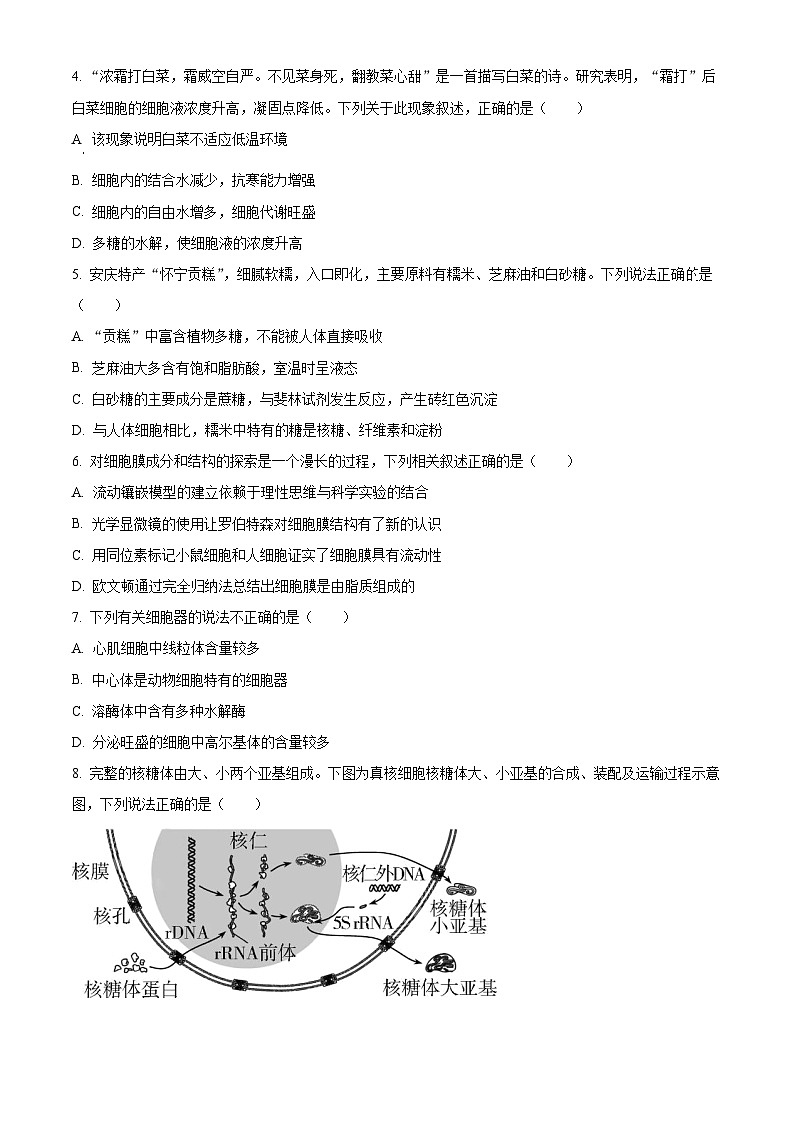 安徽省安庆市2023-2024学年高一上学期期末联考生物试卷（Word版附解析）02
