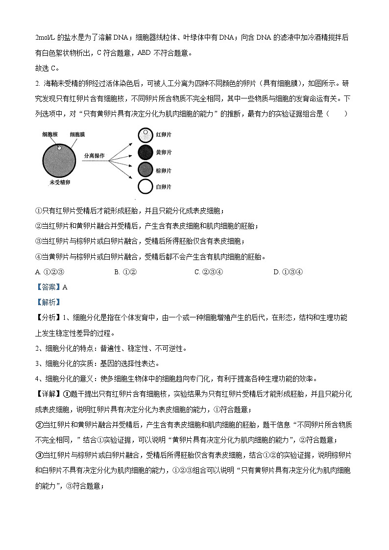 2024届安徽省合肥市高三一模生物试题  Word版含解析第2页