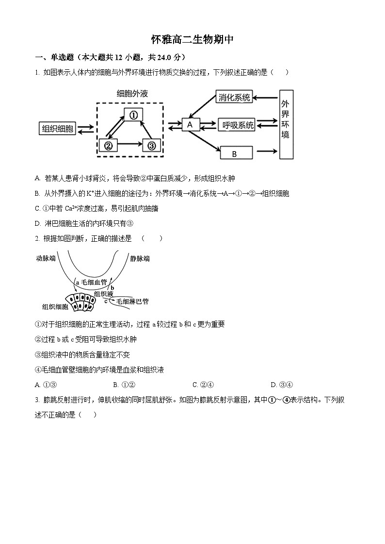 湖南省怀化市雅礼实验学校2022-2023学年高二上学期期中生物试题（原卷版+解析版）01