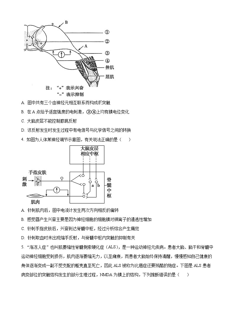 湖南省怀化市雅礼实验学校2022-2023学年高二上学期期中生物试题（原卷版+解析版）02
