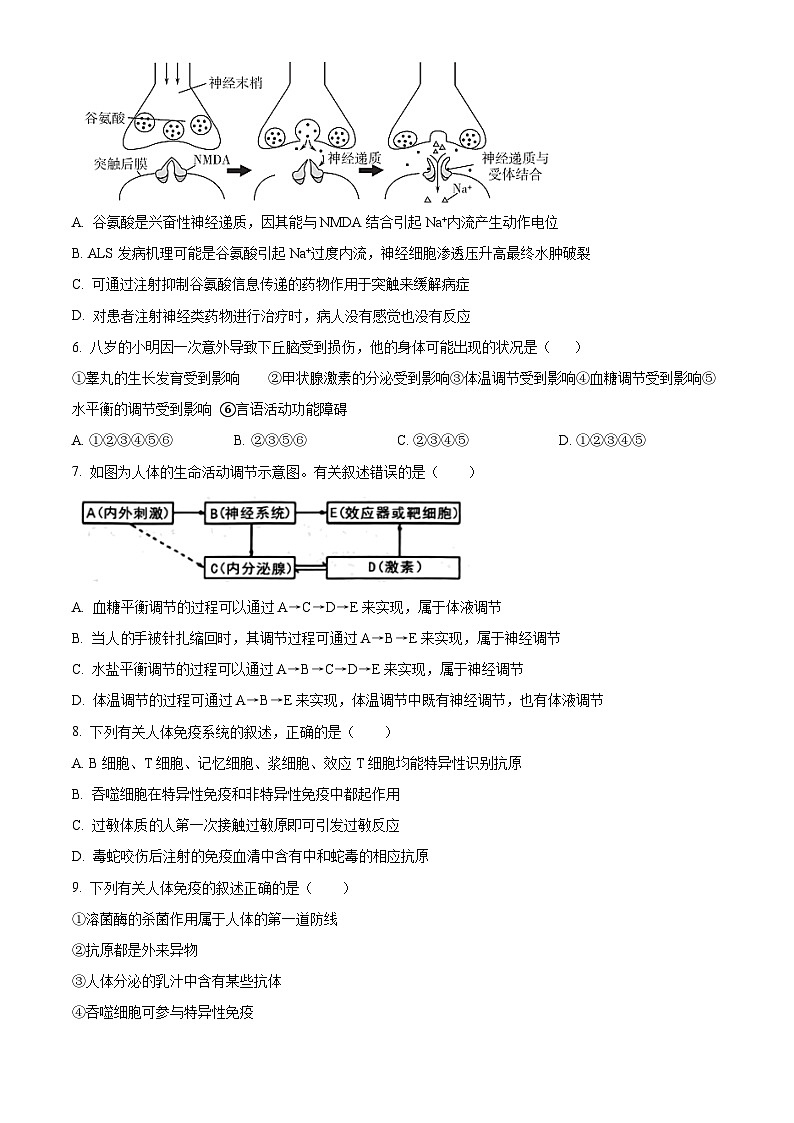 湖南省怀化市雅礼实验学校2022-2023学年高二上学期期中生物试题（原卷版+解析版）03