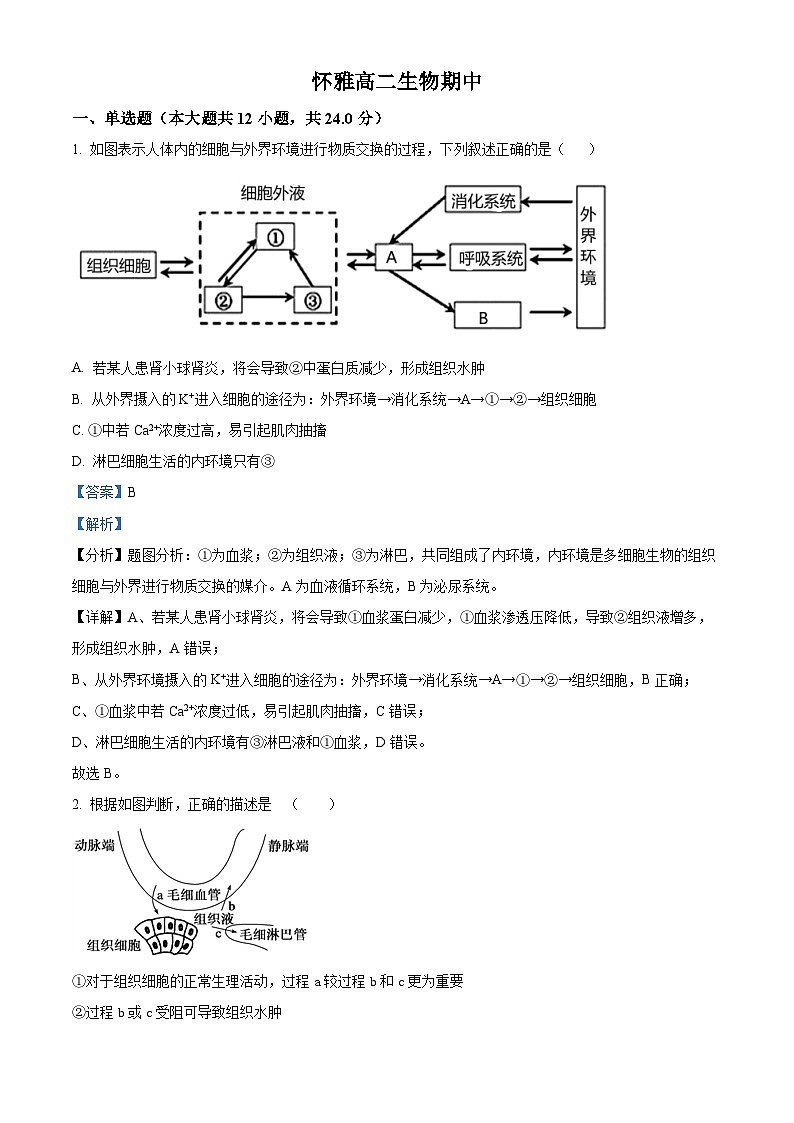 湖南省怀化市雅礼实验学校2022-2023学年高二上学期期中生物试题（原卷版+解析版）01