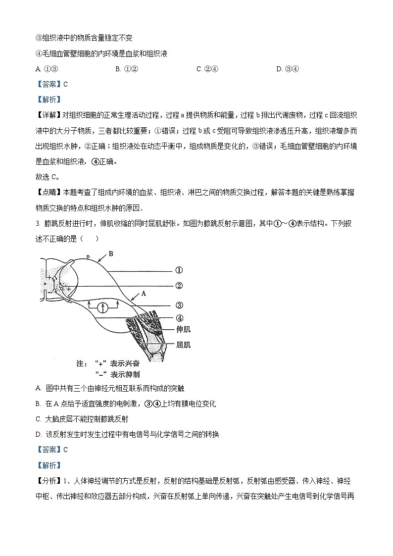 湖南省怀化市雅礼实验学校2022-2023学年高二上学期期中生物试题（原卷版+解析版）02