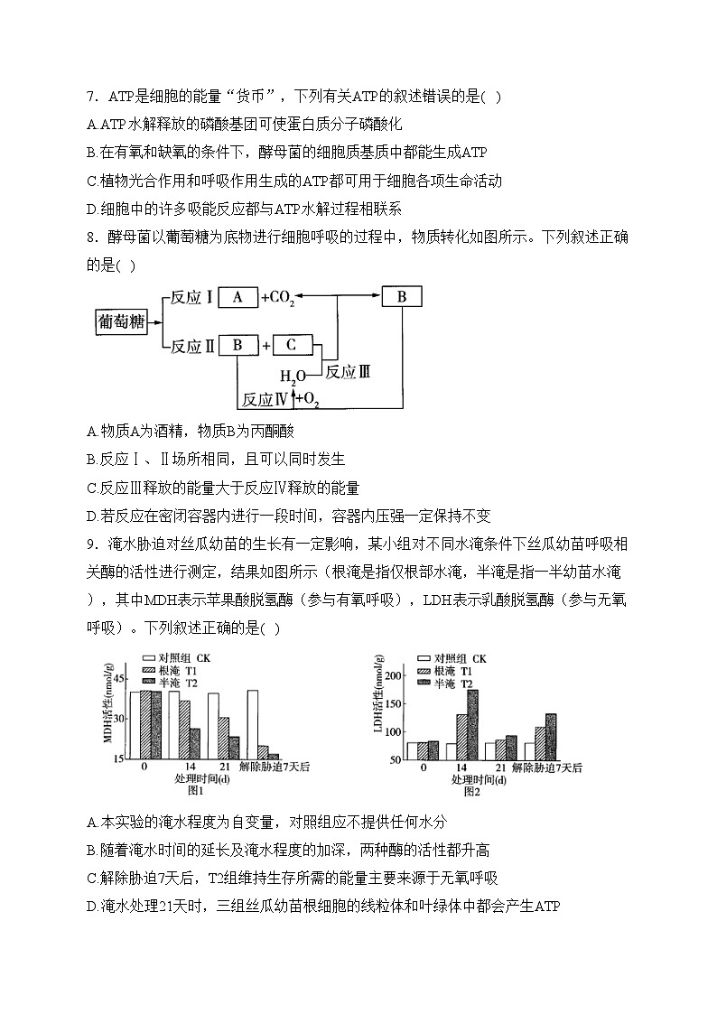 漯河市高级中学2023-2024学年高一上学期1月阶段检测生物试卷(含答案)第3页
