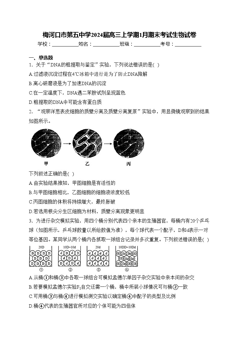 梅河口市第五中学2024届高三上学期1月期末考试生物试卷(含答案)第1页