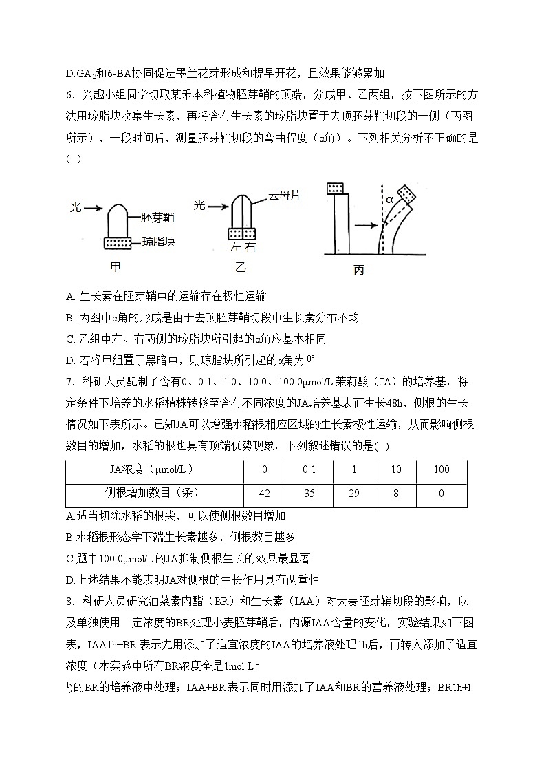 梅河口市第五中学2024届高三上学期1月期末考试生物试卷(含答案)第3页