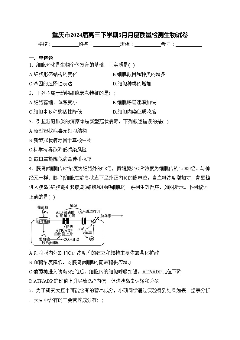 重庆市2024届高三下学期3月月度质量检测生物试卷(含答案)第1页