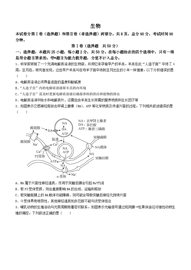 2024届甘肃省张掖市某校高三下学期模拟考试生物试题第1页