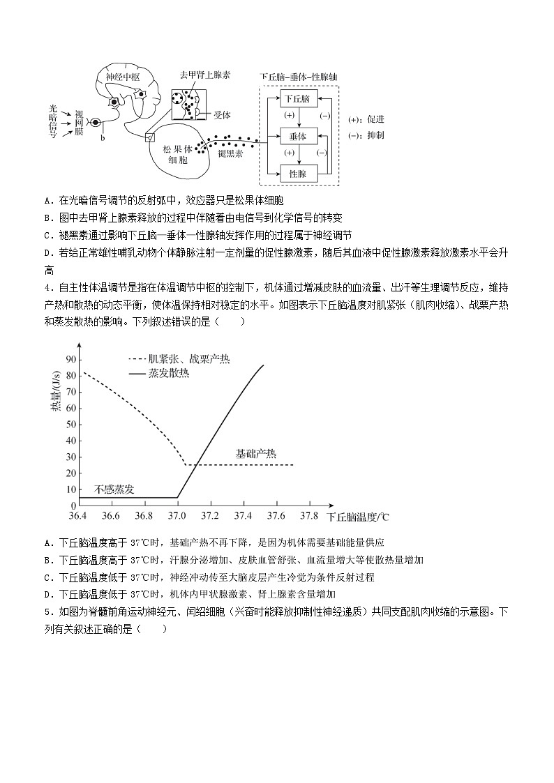 2024届甘肃省张掖市某校高三下学期模拟考试生物试题第2页