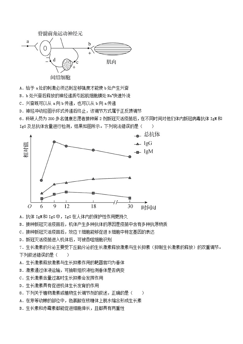 2024届甘肃省张掖市某校高三下学期模拟考试生物试题第3页