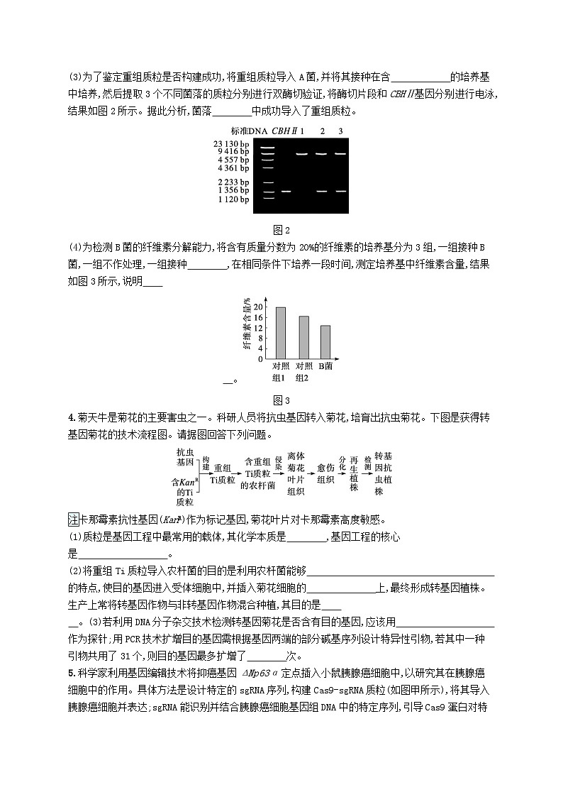 2024届新高考生物二轮总复习大题分析与表达练7基因工程类大题突破（附解析）03