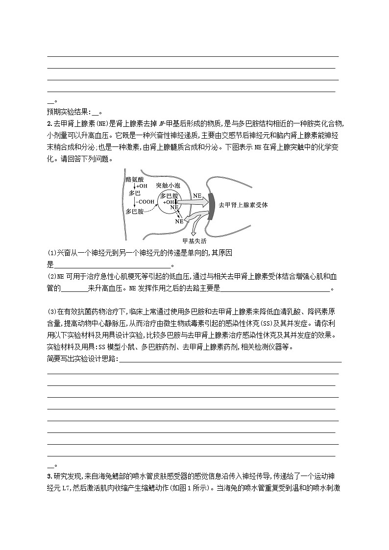2024届新高考生物二轮总复习大题分析与表达练4动物生命活动调节类大题突破（附解析）02
