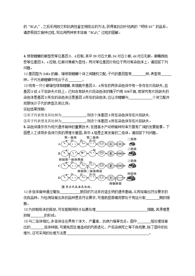 2024届新高考生物二轮总复习大题分析与表达练3变异与育种类大题突破（附解析）第3页
