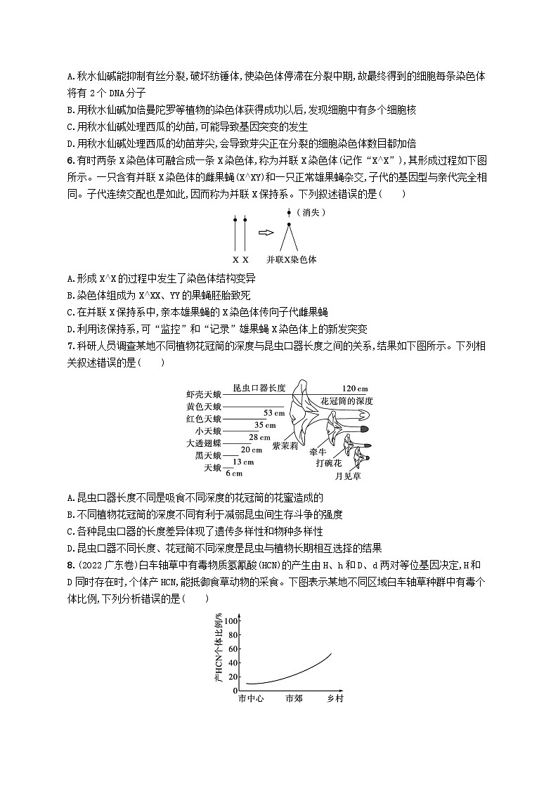 2024届新高考生物二轮总复习专题突破练8生物变异育种与进化（附解析）第2页