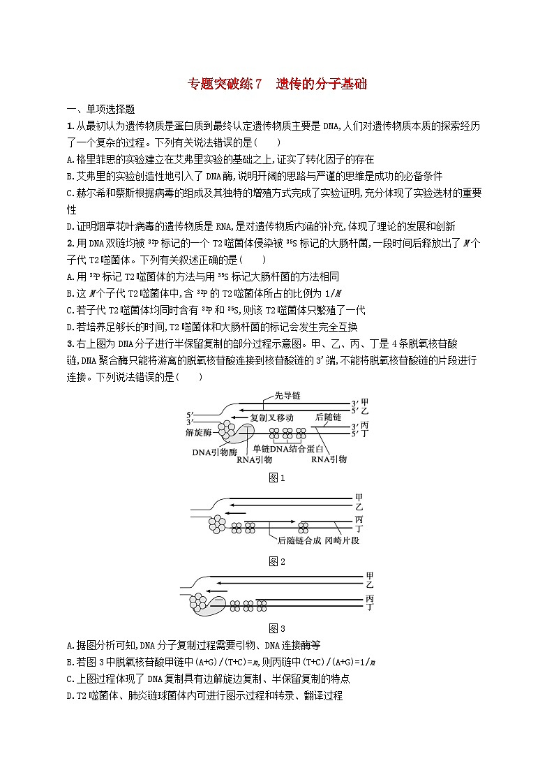 2024届新高考生物二轮总复习专题突破练7遗传的分子基础（附解析）第1页