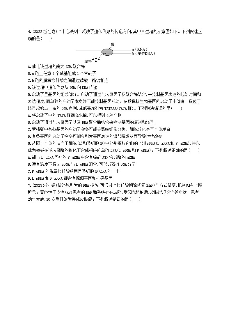 2024届新高考生物二轮总复习专题突破练7遗传的分子基础（附解析）第2页