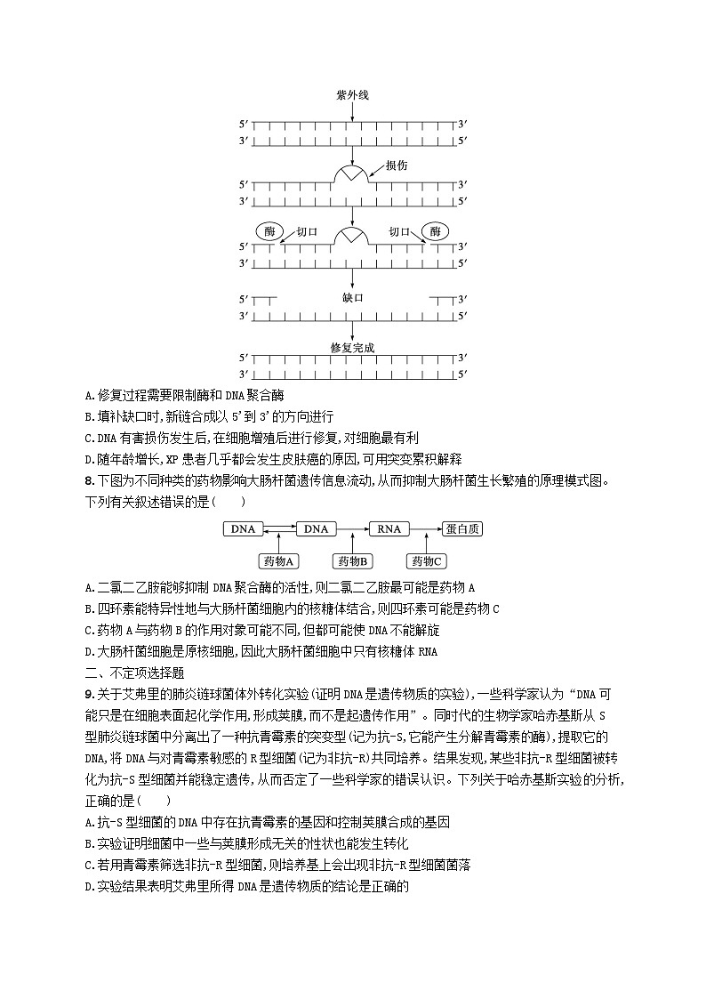 2024届新高考生物二轮总复习专题突破练7遗传的分子基础（附解析）第3页