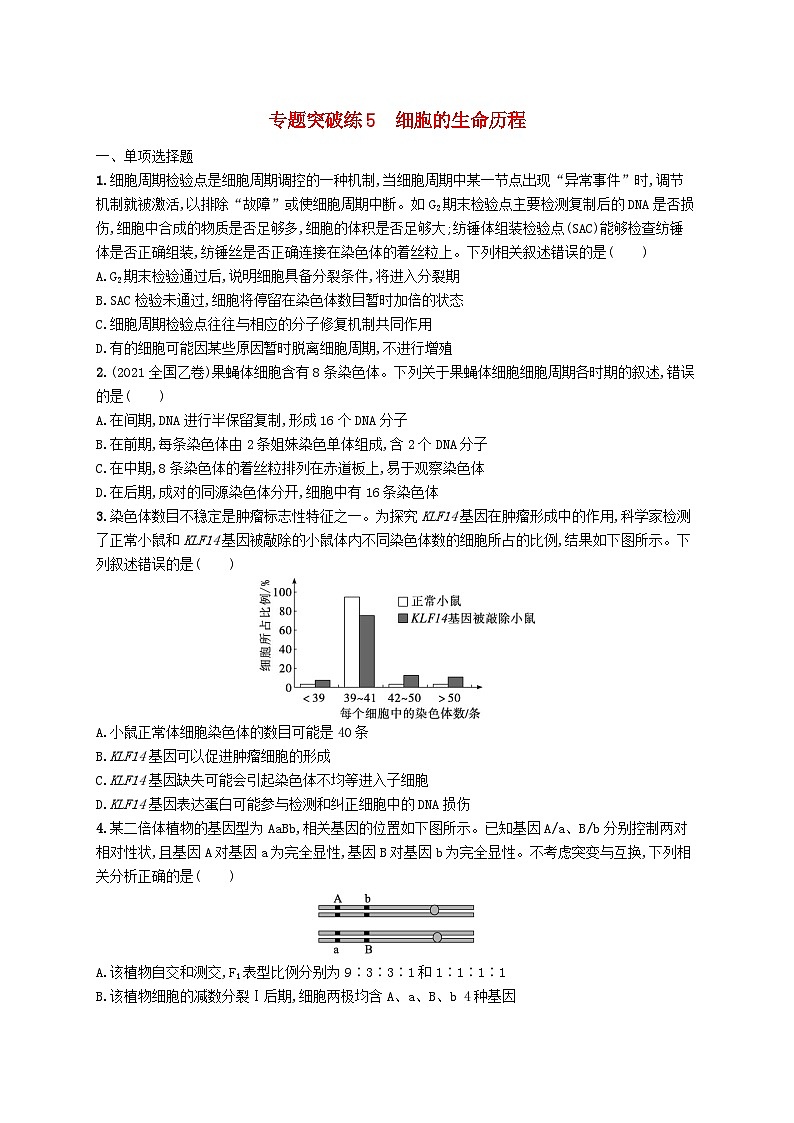 2024届新高考生物二轮总复习专题突破练5细胞的生命历程（附解析）第1页
