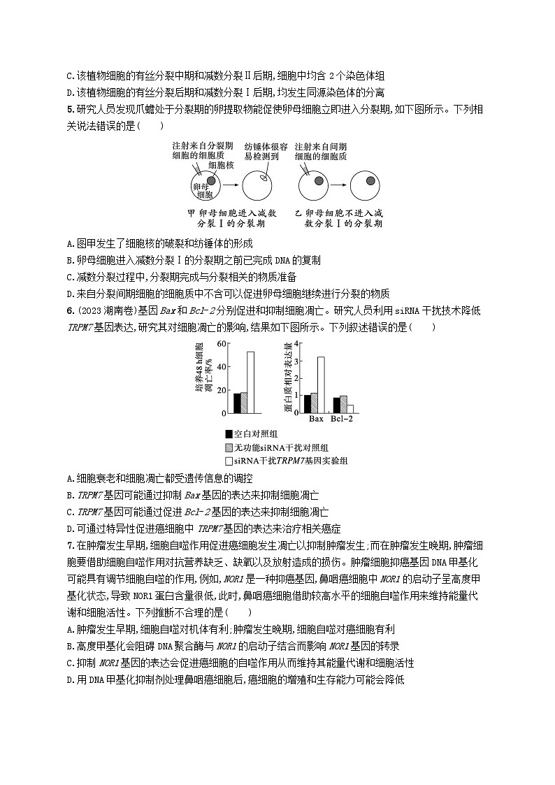 2024届新高考生物二轮总复习专题突破练5细胞的生命历程（附解析）第2页