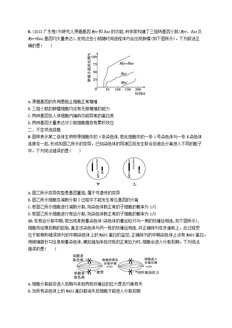 2024届新高考生物二轮总复习专题突破练5细胞的生命历程（附解析）第3页