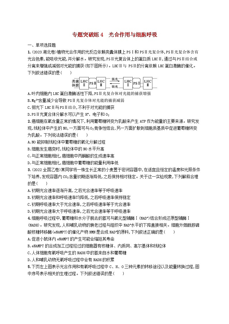 2024届新高考生物二轮总复习专题突破练4光合作用与细胞呼吸（附解析）第1页